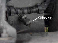 Bild des Steckers